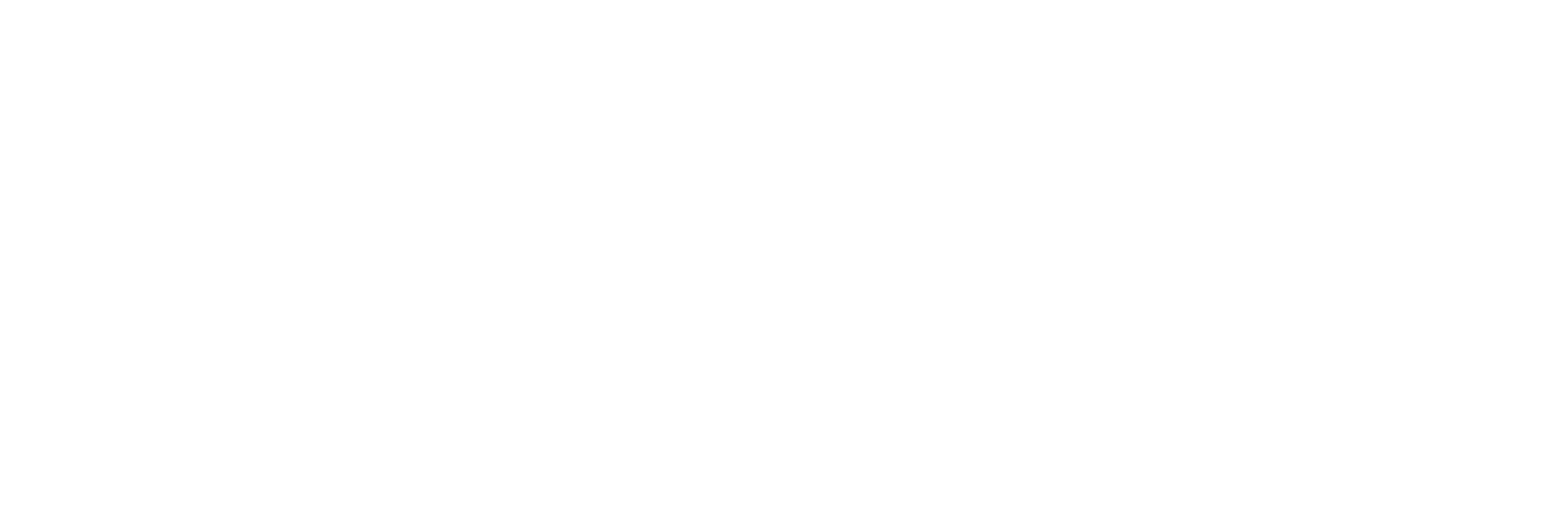 logo icoon dolhof wit